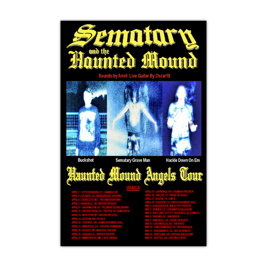 HAUNTED MOUND ANGELS TOUR POSTER